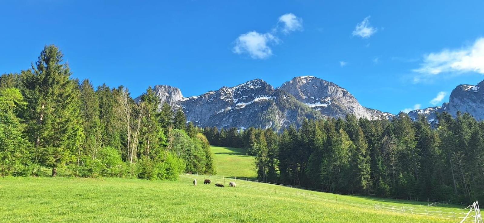 Haus Wallinger Abtenau Luaran gambar