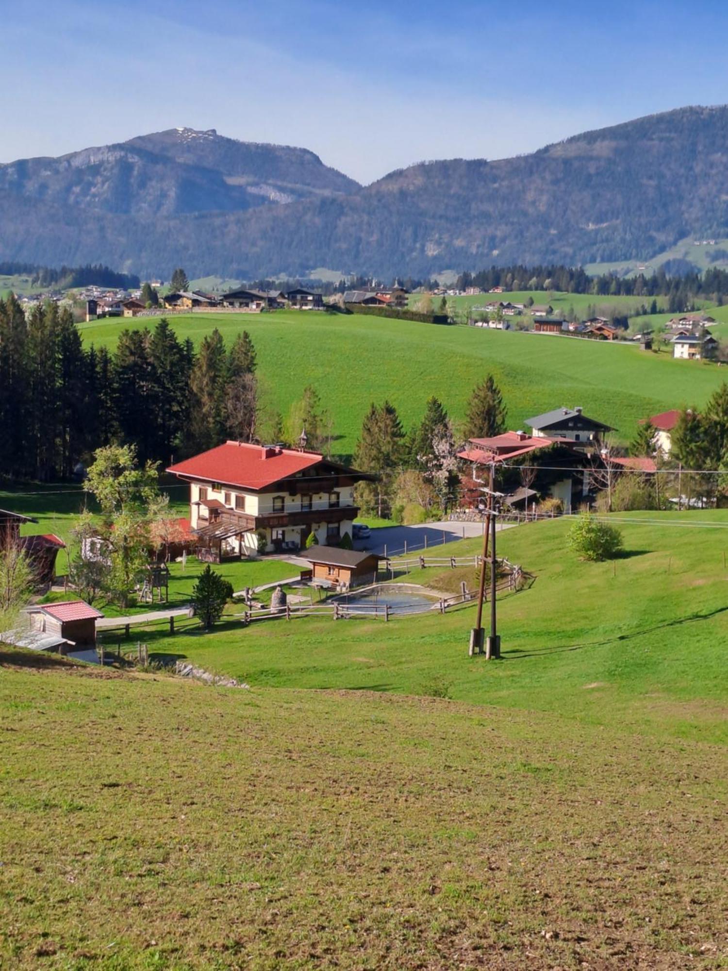 Haus Wallinger Abtenau Luaran gambar